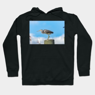 Heron Hoodie